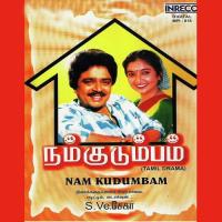 Nam Kudumbam - Vol - 1 (Petrol Kinaru) S.Ve. Shekher Song Download Mp3