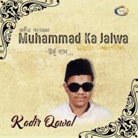 Na Muqaddar Sawar Na Kadir Kawal Song Download Mp3