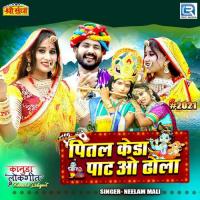 Pital Keda Pat O Dhola Neelam Mali Song Download Mp3