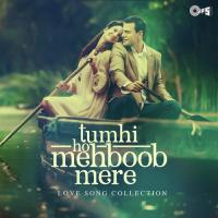 Jabse Main (From "Yeh Dil Aashiqana") Kumar Sanu Song Download Mp3