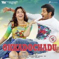 Okkadochadu (Theme) Vedala Hemachandra,Hiphop Tamizha Song Download Mp3