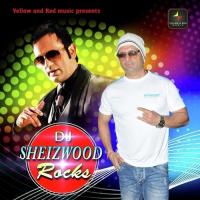 Teri Maa Nu (Remixed By Sanj Deora) Dj Sheizwood Song Download Mp3