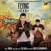 Flying Car Ninja,Sultaan Song Download Mp3