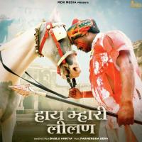 Haye Mahari Lilan Bablu Ankiya Song Download Mp3