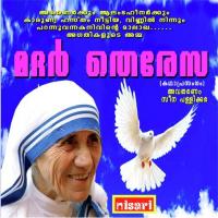 Mother Teresa Seena Pallikkara Song Download Mp3