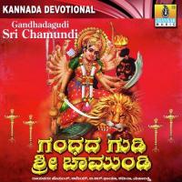 Damaruga Mardhane Vijay Urs Song Download Mp3