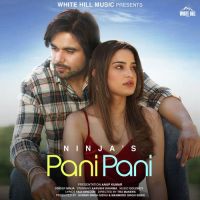 Pani Pani Ninja Song Download Mp3