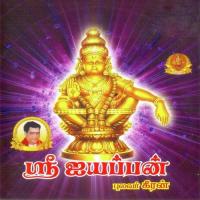 Sri Ayyappan Part - 1 Pulavar Keeran Song Download Mp3