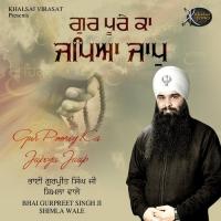 Apni Bhagti Laye Bhai Gurpreet Singh Ji Shimla Wale Song Download Mp3