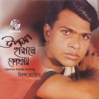 Protarona Prince Habib Song Download Mp3