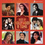 Yeh Ladka Hai Allah (From "Kabhi Khushi Kabhie Gham") Jatin-Lalit,Udit Narayan,Alka Yagnik Song Download Mp3