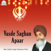 Vasde Saghan Apaar Bhai Sadhu Singh Dehradun Wale Song Download Mp3