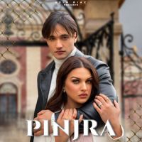 Pinjra Himanshi Khurana ,Asim Riaz Song Download Mp3