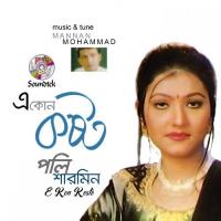 Tumi Bristy Hoye Poly Sharmin Song Download Mp3