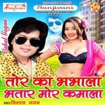 Mai Re Ukare Ke Sar Ji Patawe Le Vishal Gagan Song Download Mp3