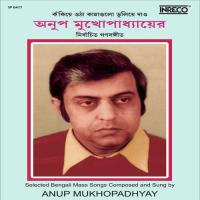 Tolpar Tuluk Tolpar Anup Mukhopadhyay Song Download Mp3