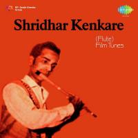 Tera Jana Shridhar Kenkara Song Download Mp3