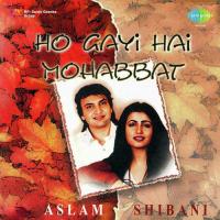 Pyar Hi Hai Woh Shibani Song Download Mp3