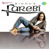 Aa Kar Le Pyar Biddu,Mahesh Song Download Mp3