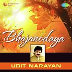 Mujhe Hai Kaam Ishwar Se Udit Narayan Song Download Mp3