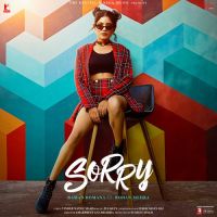 Sorry Raman Romana Song Download Mp3