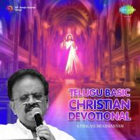 Raju Puttina Riju Ee Roju V. Bandaru Song Download Mp3