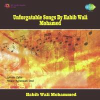 Lagta Nahin Hai Dil Habib Wali Mohammed Song Download Mp3