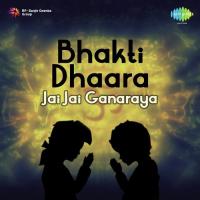 Too Sukhkarta Dr. Vasantrao Deshpande,Rani Varma Song Download Mp3