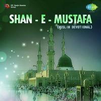 Ya Nabi Aasra Mangte Hain Jani Babu Qawwal Song Download Mp3