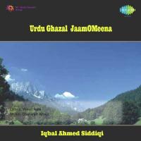 Aapne Adha Hi Kiya Iqbal Ahmed Siddiqi,Vandana Bajpai Song Download Mp3