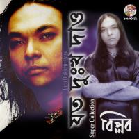 Sadhinota Biplob Song Download Mp3