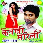 Jobnwa Sakhi Re Choli Me Na Ate Arjun Patel Song Download Mp3