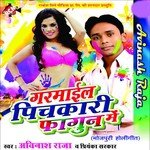 Jawani Biche Pani Fekta Avinash Raja Song Download Mp3