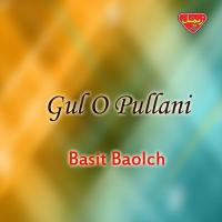 Gul O Pullani Basit Baolch Song Download Mp3