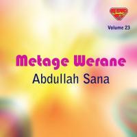 Apere Zale Abdullah Sana Song Download Mp3