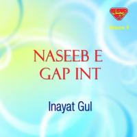 Sindhi Pa Thi Nachaa Inayat Gul Song Download Mp3