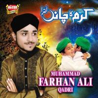 Sheher E Madina Farhan Ali Qadri Song Download Mp3