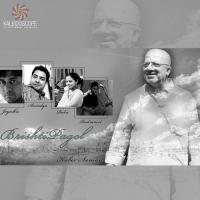 Brishti Pagol Kabir Suman,Raka Bhattacharya,Anindya Bhattacharyya,Rudraneel Chowdhury,Joyashis Ghosh Song Download Mp3