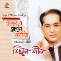 Diwana Banailo Amay Shimul Shil Song Download Mp3