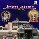 Naaveru Paamanatha Thiruttani N. Swaminathan Song Download Mp3