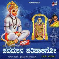 Ide Haadi Nee Hidi Hidi Narasimha Naik Song Download Mp3