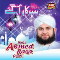 Ya Nabi Hafiz Ahmed Raza Qadri Song Download Mp3