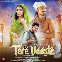 Tere Vaaste Balraj Song Download Mp3