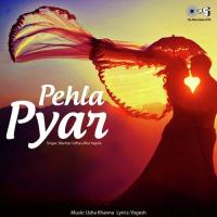 Ambar Ne Dharti Se Poochha Manhar Udhas,Alka Yagnik Song Download Mp3