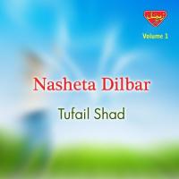 Osir Mashar Tufail Shad Song Download Mp3