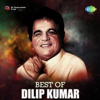 Imli Ka Boota (From "Saudagar") Mohammad Aziz,Sudesh Bhosle Song Download Mp3