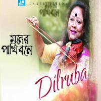 Janina Kokhon Dilruba Khan Song Download Mp3