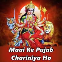 Phool Leke Na Aile Maliniya Mahabir Matwala Song Download Mp3