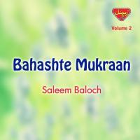 Tanhaiyanee Thok Saleem Baloch Song Download Mp3