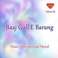 Man-e-Doosth-e-To Dil-e-Doosth Noor Mohammad Noral Song Download Mp3